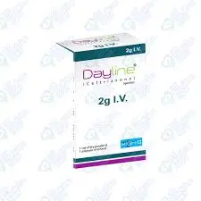 Dayline IV 2gm Injection 1 Vial