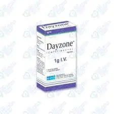 Dayzone 1gm Injection 1 Vial
