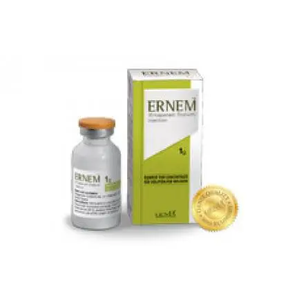 Ernem 1gm Injection