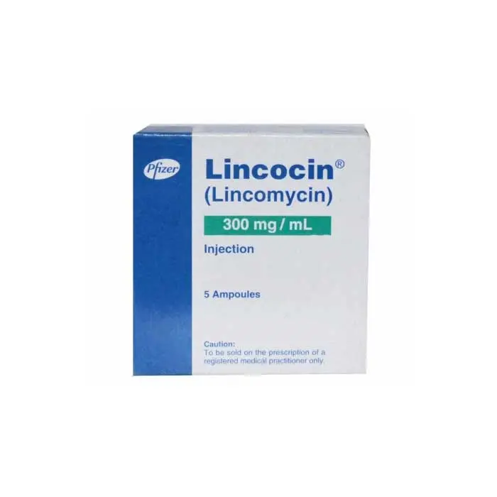 Lincocin 300mg Ampule 1 Ml