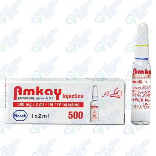Amkay 500mg Injection 2ml(Net)