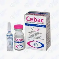 Cebac 1gm Injection