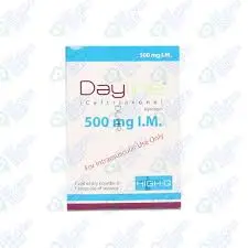 Dayline IM 500mg Injection 1 vial