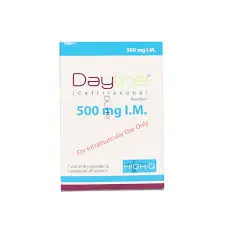 Dayline IV 500mg Injection 1 vial