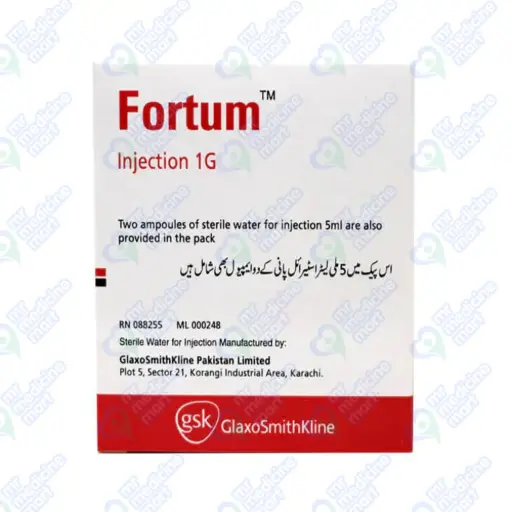Fortum 1gm Injection