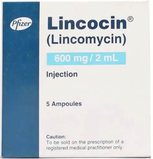 Lincocin 600mg Ampule 2 Ml