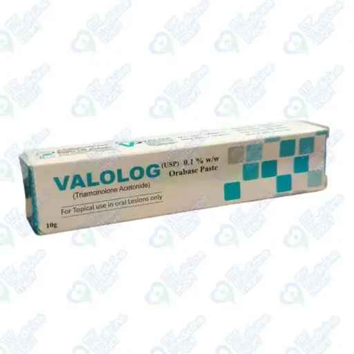 Valolog 10g Paste
